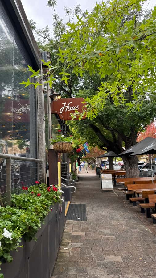 From Adelaide: Hahndorf and Barossa Day Tour with Lunch - Hahndorf’s German Streets: Browse, Snack, and Get Your Photos Done