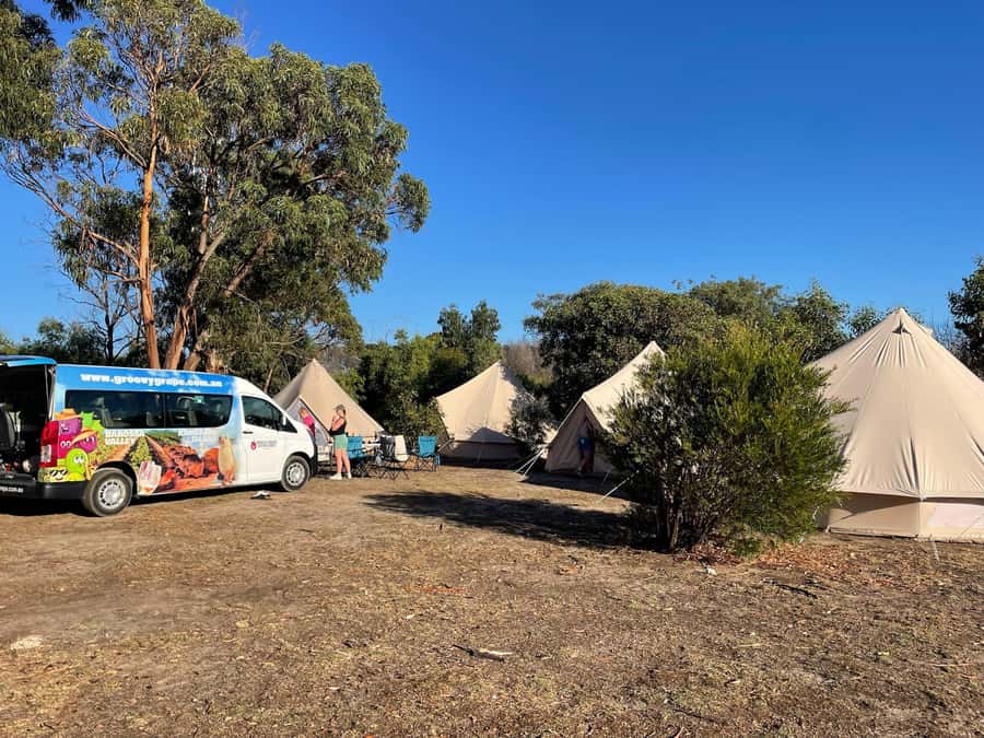 From Adelaide: Kangaroo Island Epic 2-Day Small Group Tour - Kingscote break plus brewery lunch: a practical town stop
