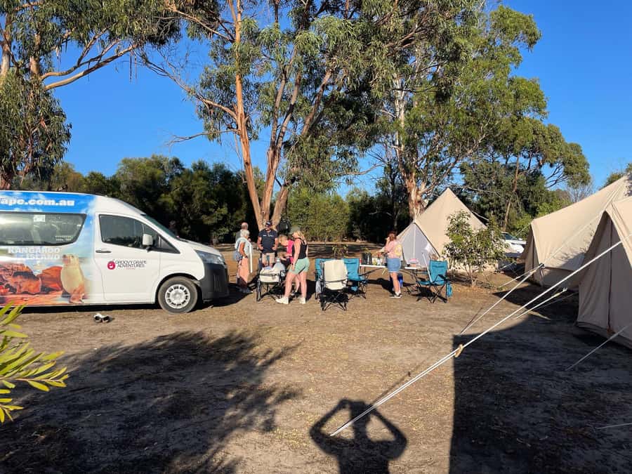 From Adelaide: Kangaroo Island Epic 2-Day Small Group Tour - Honey at the Beehive and what that tasting teaches you