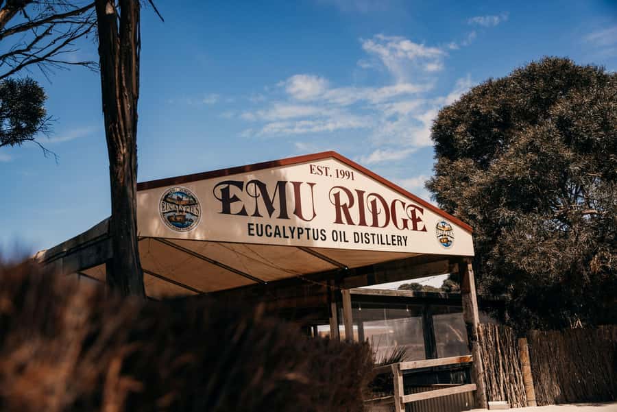 From Adelaide: Kangaroo Island Sip and See Day Trip - Lunch, shopping, and the “how much is too much?” question