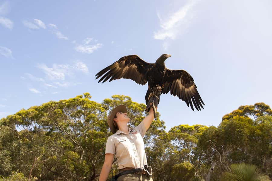 From Adelaide: Kangaroo Island Sip and See Day Trip - Who this trip suits (and who should pick another plan)
