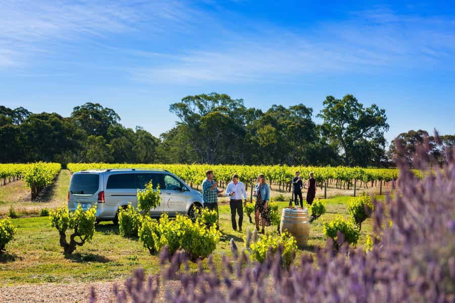 From Adelaide or Barossa: Boutique Barossa Valley Wine Tour - What You Actually Get for $265: Value, Tastings, and the Fine Print