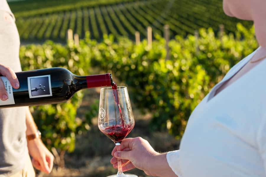 From Adelaide or Barossa: Boutique Barossa Valley Wine Tour - Getting From Adelaide to the Barossa Without Losing the Day