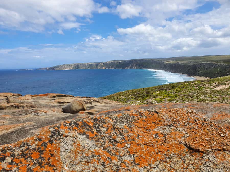 From Adelaide: Premium 2-Day Kangaroo Island Minibus Tour - Vivonne Bay and Flinders Chase: the west coast drama in full view