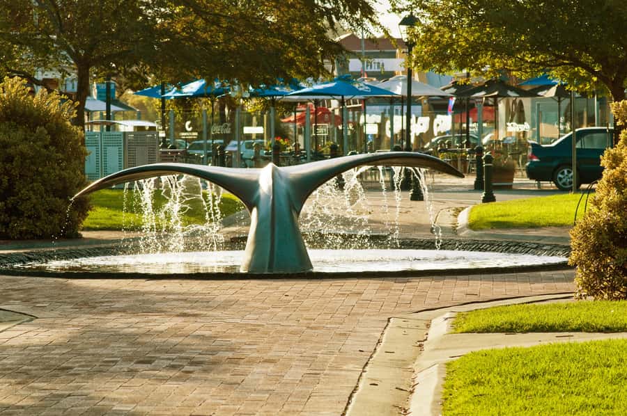 From Adelaide: Victor Harbor & Southern Highlights Day Tour - Key Highlights Worth Getting Excited About