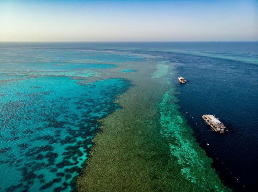 From Airlie Beach: Great Barrier Reef Adventure Cruise - Reefworld Pontoon Time: Snorkeling, Semi-Submersible, and Underwater Observatory