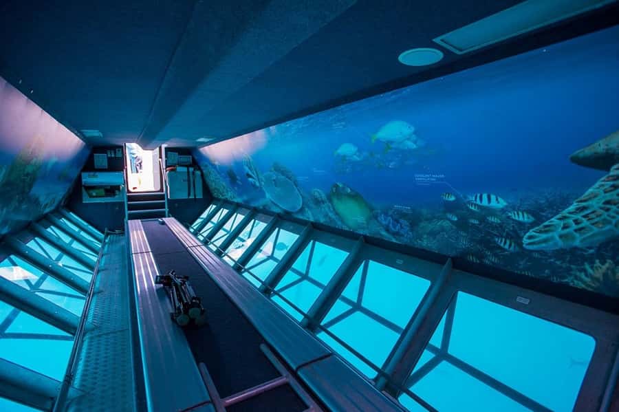 From Airlie Beach: Great Barrier Reef Adventure Cruise - Optional Extras: When Scuba Sessions and Guided Snorkeling Are Worth the Cost