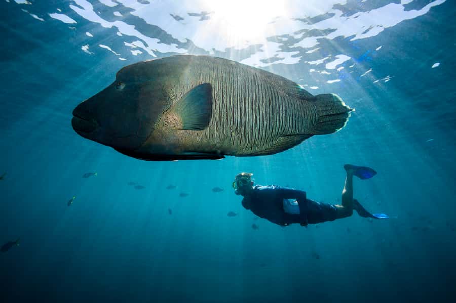 From Airlie Beach: Great Barrier Reef Adventure Cruise - Weather, Comfort, and What to Pack (So You Don’t Regret It)