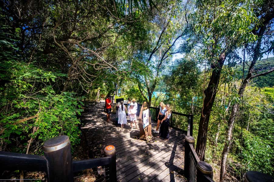 From Airlie Beach: Hook Island Cultural Tour, Sail & Snorkel - Price and value: what you’re really paying for at $180