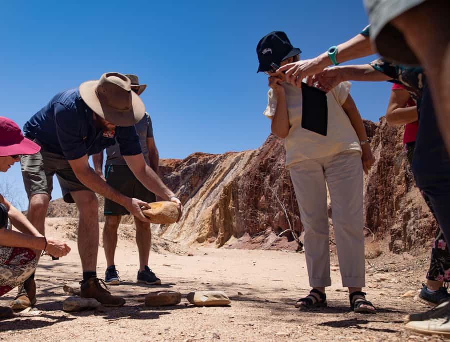From Alice Springs: West MacDonnell Ranges Day Trip - Walk style, group size, and what the day feels like