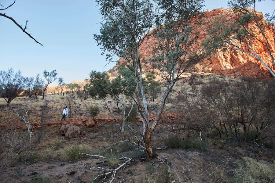 From Alice Springs: West MacDonnell Ranges Half Day Trip - Why the West MacDonnell Ranges feel huge in just 4.5 hours