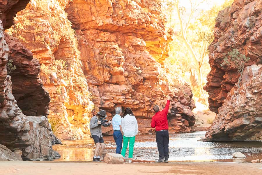 From Alice Springs: West MacDonnell Ranges Half Day Trip - Simpsons Gap: cliffs, a permanent waterhole, and Arrernte goanna ancestors