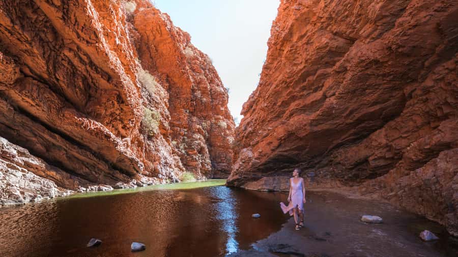 From Alice Springs: West MacDonnell Ranges Half Day Trip - Pick-up, small group size, and how the coach keeps it comfortable