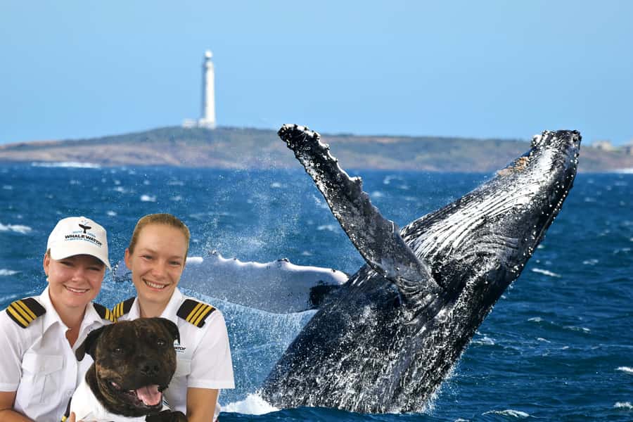 From Augusta: Whale Watching Award Winning Tour - Key things I think you’ll care about