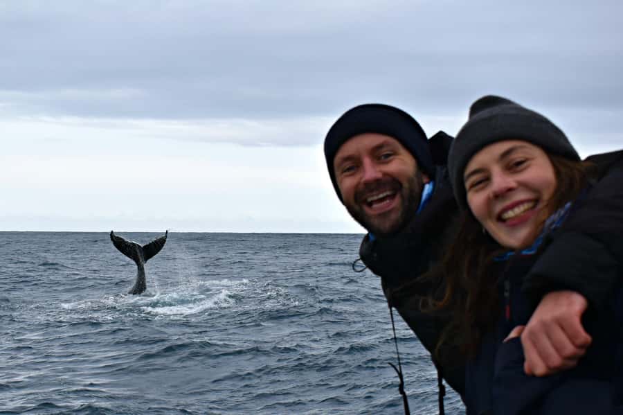 From Augusta: Whale Watching Award Winning Tour - Where Augusta and Flinders Bay fit in the humpback migration