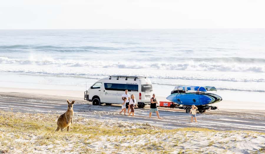 From Brisbane: Bribie Island Day Trip and 4x4 tour - Key moments you’ll remember on Bribie’s 4WD day trip