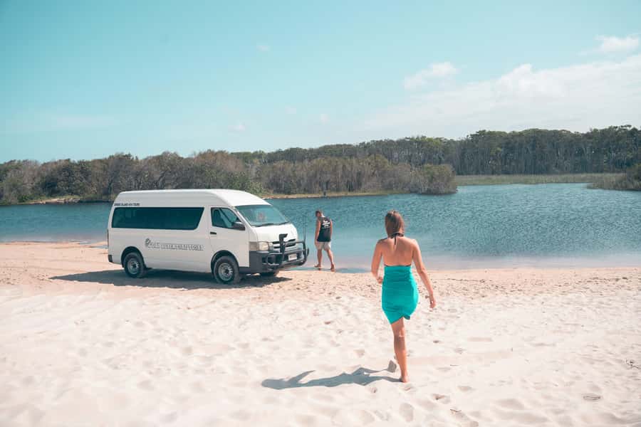 From Brisbane: Bribie Island Day Trip and 4x4 tour - Wildlife spotting: how to actually see kangaroos and goannas