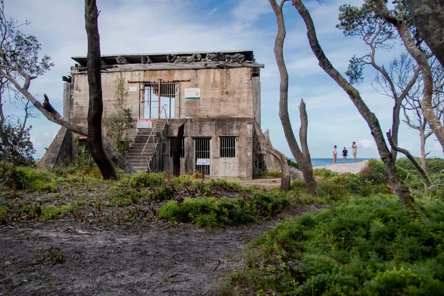 From Brisbane: Bribie Island Day Trip and 4x4 tour - Who this tour suits best (and who should reconsider)
