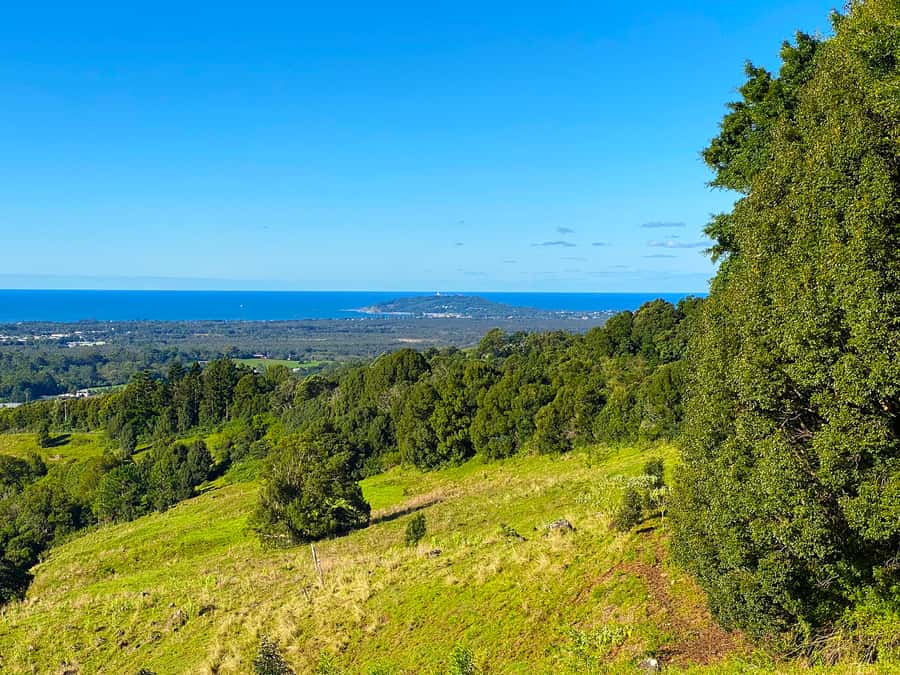 From Brisbane: Byron Bay, Bangalow, and Gold Coast Day Tour - Morning tea at The Farm: a relaxed break with actual food