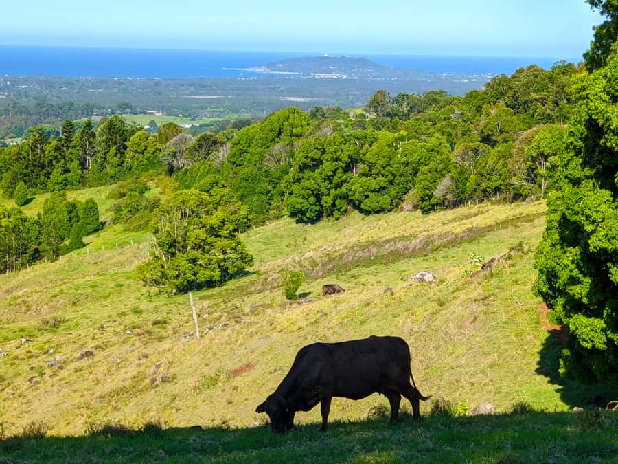 From Brisbane: Byron Bay, Bangalow, and Gold Coast Day Tour - Byron Bay town time: shopping, a beach moment, and your own pace