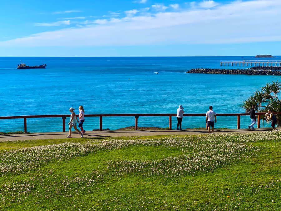 From Brisbane: Byron Bay, Bangalow, and Gold Coast Day Tour - Brisbane pickup: practical start without the hassle