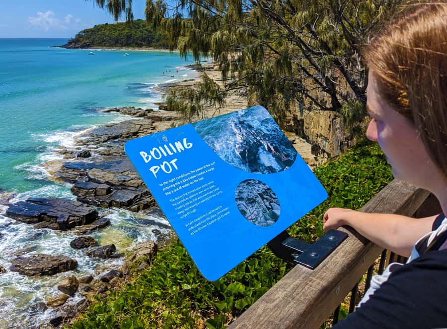 From Brisbane: Day Trip to Noosa, Glass House Mtns and Zoo - Key things to know before you go