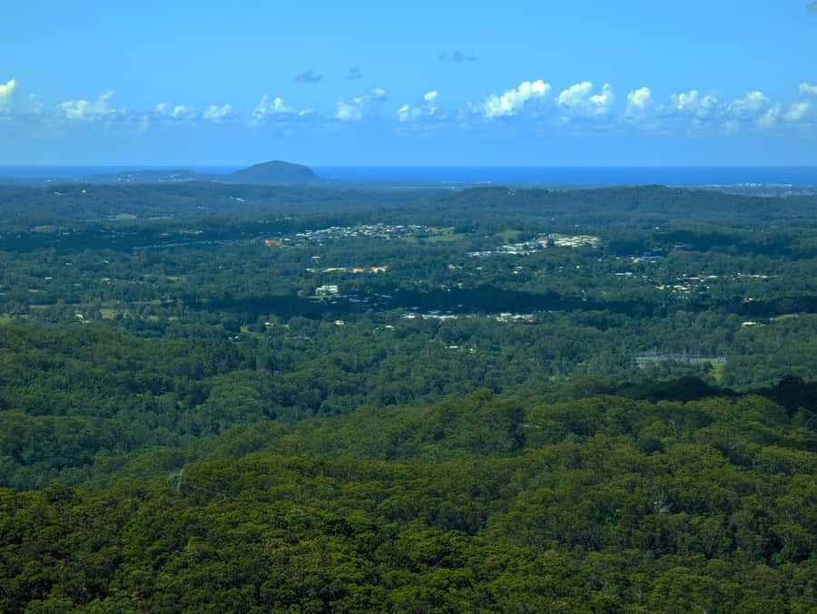 From Brisbane: Day Trip to Noosa, Glass House Mtns and Zoo - Tips to make your day smoother