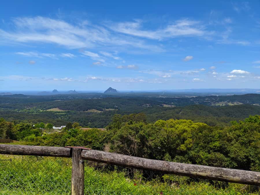 From Brisbane: Day Trip to Noosa, Glass House Mtns and Zoo - Price and value: what you’re really paying for