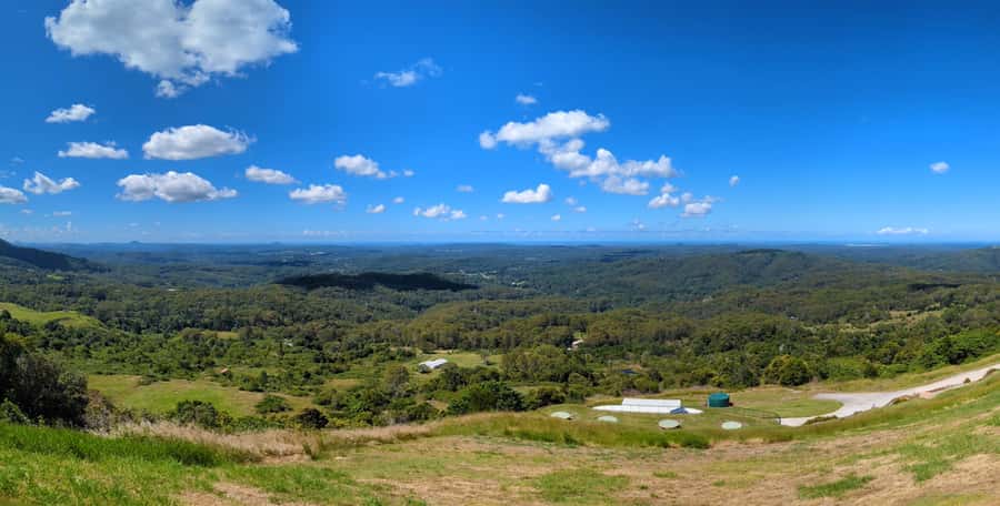 From Brisbane: Day Trip to Noosa, Glass House Mtns and Zoo - Noosa Beach breaks you need, plus Noosa National Park time you’ll value