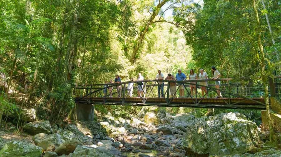 From Brisbane: Gold Coast Day Tour with Lunch - Price and value: what $183 covers (and what it doesn’t)
