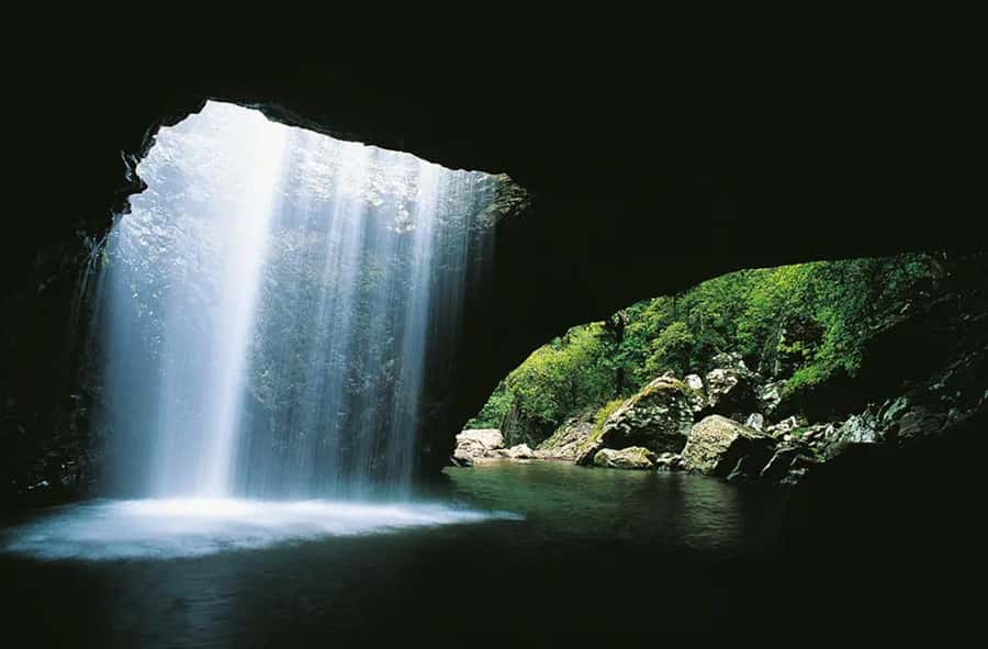 From Brisbane: Gold Coast Day Tour with Lunch - Who this tour fits best (and who should skip it)