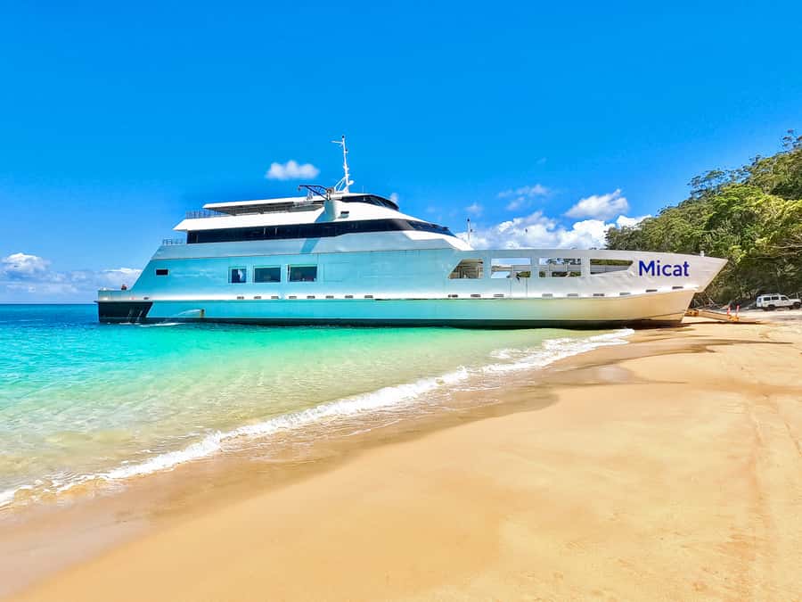 From Brisbane: Moreton Island Full-Day Trip - Snorkeling the Tangalooma Shipwrecks: the guided way to see marine life