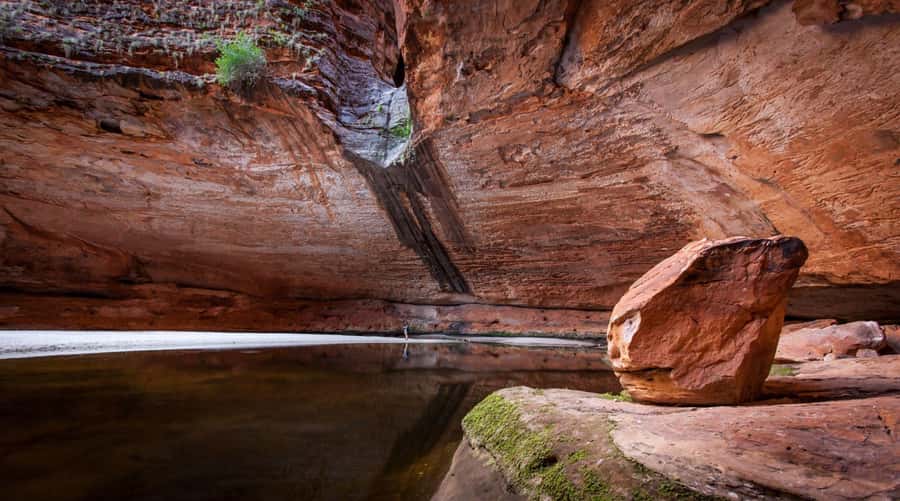 From Broome: Bungle Bungle Explorer Scenic Flight - Key moments you’ll care about