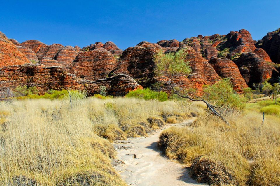 From Broome: Bungle Bungle Explorer Scenic Flight - Cathedral Gorge guided walk: short route, real steps, and serious geology
