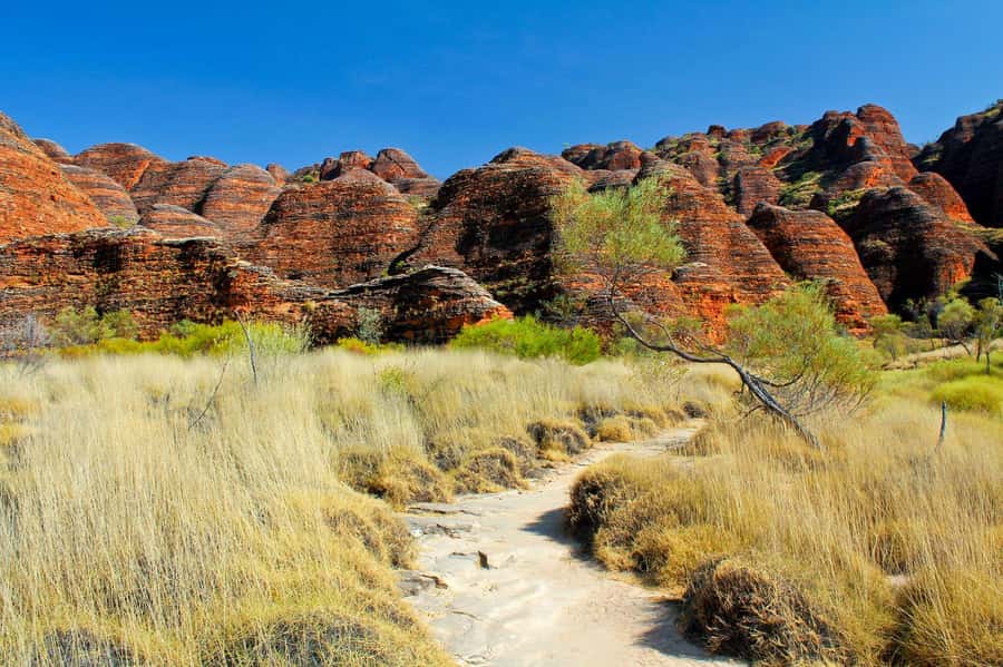 From Broome: Bungle Bungle Explorer Scenic Flight - Lunch inside the gorge: where the day slows down on purpose