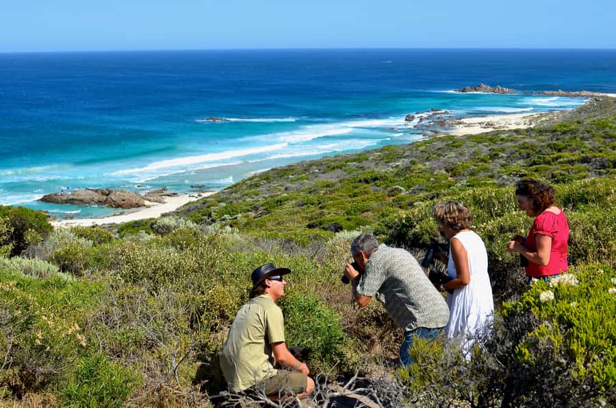 From Busselton: Half-Day Coastal and Wildlife Eco Tour - Meelup Regional Park: where woodland helps your wildlife spotting