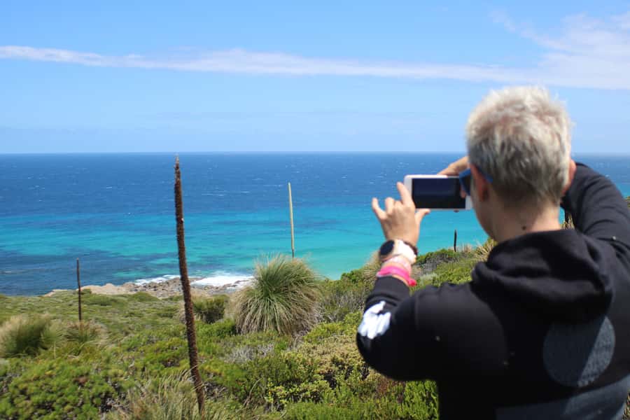 From Busselton: Half-Day Coastal and Wildlife Eco Tour - Ngari Marine Park and the coast road: marine focus plus real-world scenery
