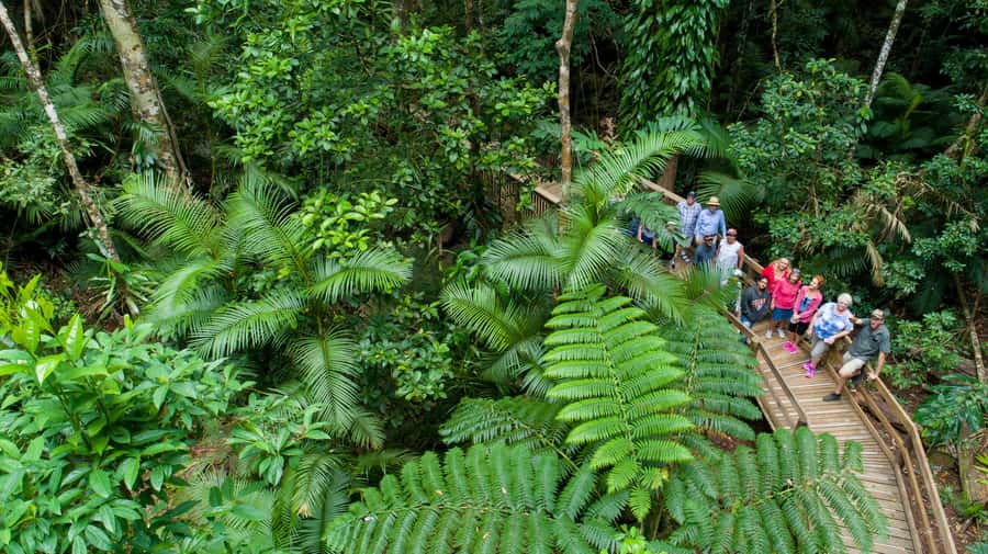 From Cairns: 3-Day Reef, Rainforest, and Outback Package - Key highlights you’ll actually feel