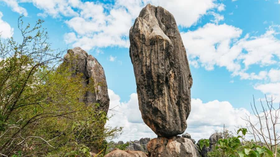 From Cairns: 3-Day Reef, Rainforest, and Outback Package - Should you book this 3-Day Reef, Rainforest and Outback Package?