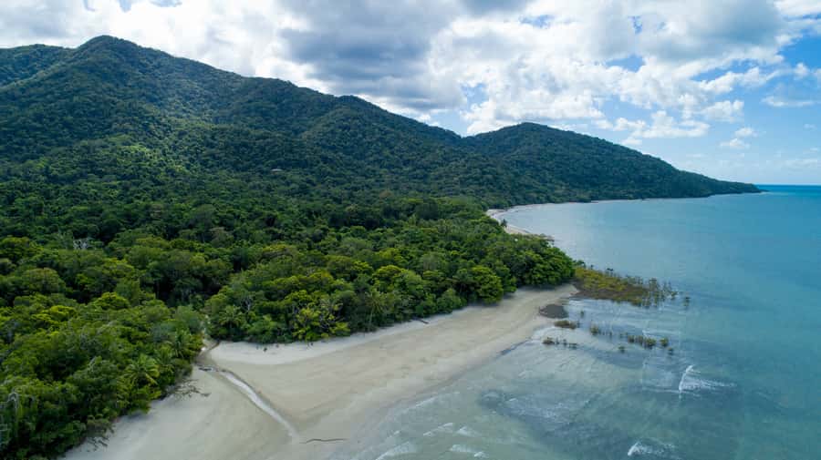 From Cairns: 3-Day Reef, Rainforest, and Outback Package - Daintree Rainforest and Cape Tribulation: boardwalks, a river cruise, and the beach lookout walk