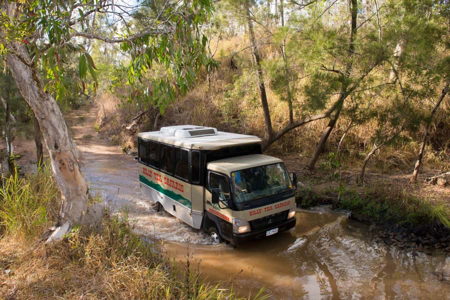 From Cairns: 3-Day Reef, Rainforest, and Outback Package - Outer Great Barrier Reef snorkelling day: two reef sites and real time in the water