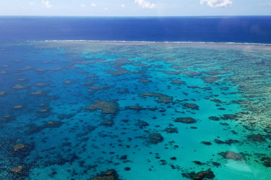 From Cairns: 40-Min Scenic Reef Window Seat Airplane Flight - Why a 40-Minute Great Barrier Reef Flight From Cairns Works