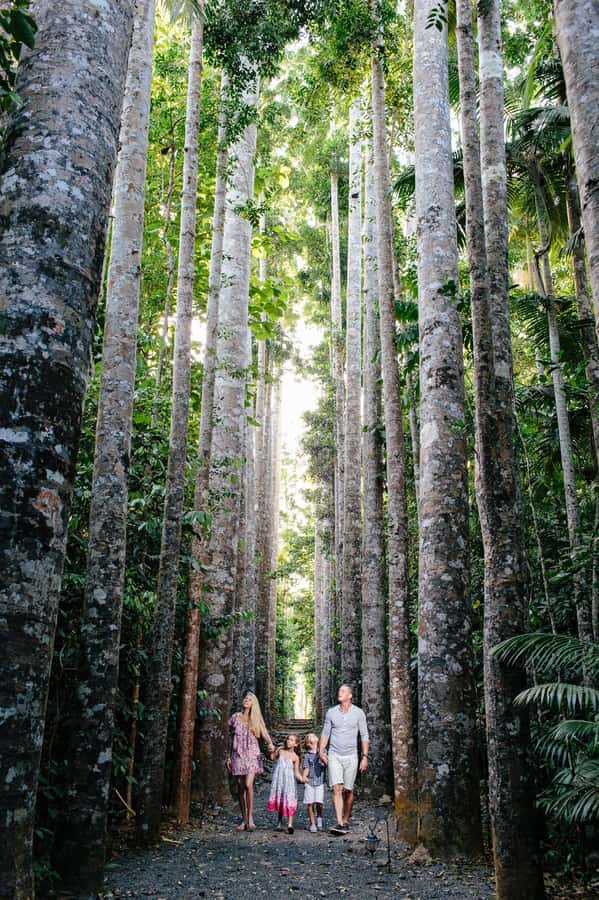 From Cairns: Atherton Tablelands and Paronella Park Day Trip - Key things I’d plan around