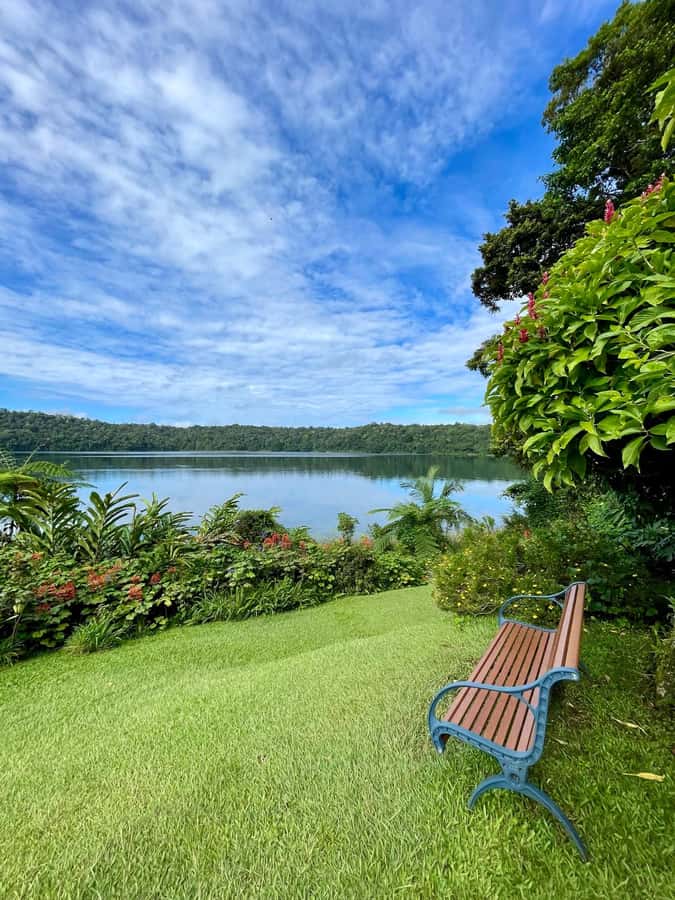 From Cairns: Atherton Tablelands and Paronella Park Day Trip - Lake Barrine: Devonshire tea plus a guided kauri-pine walk