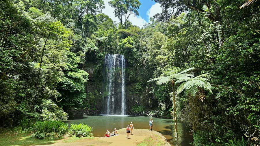 From Cairns: Atherton Tablelands and Paronella Park Day Trip - Atherton Tablelands drives: lookouts, crater lakes, and rainforest air