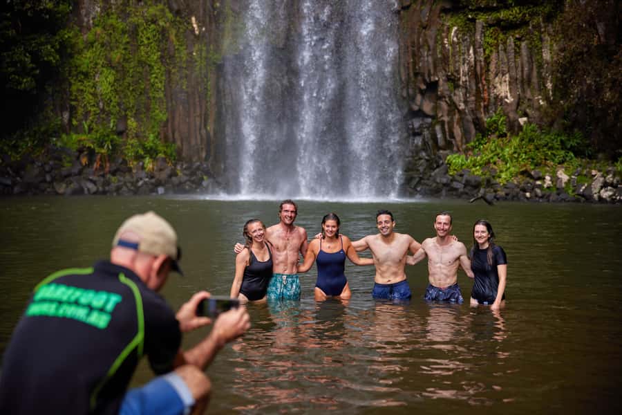 From Cairns: Barefoot Tablelands Waterfall & Rainforest Tour - Curtain Fig Tree, Millaa Millaa Falls, and the Rainforest Road Trip Rhythm
