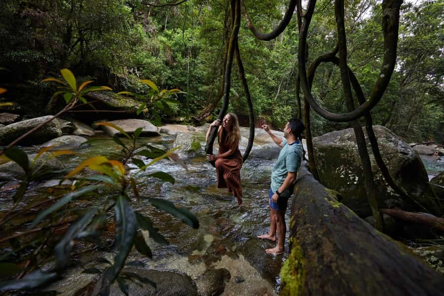 From Cairns: Barefoot Tablelands Waterfall & Rainforest Tour - Lake Eacham Swimming and Wildlife Chances: Your Best Shot at Cassowaries and More