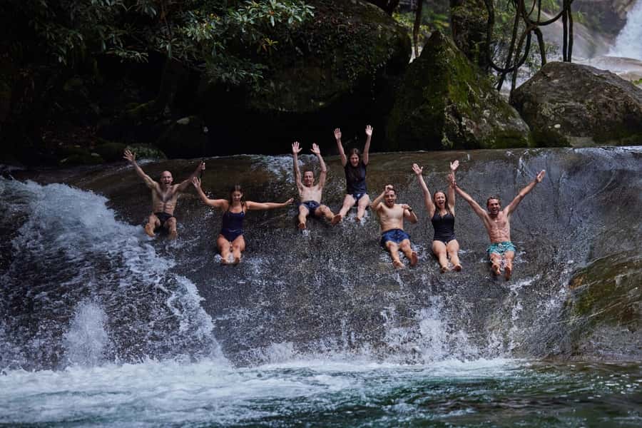 From Cairns: Barefoot Tablelands Waterfall & Rainforest Tour - Who This Tour Fits Best (and Who Should Rethink)
