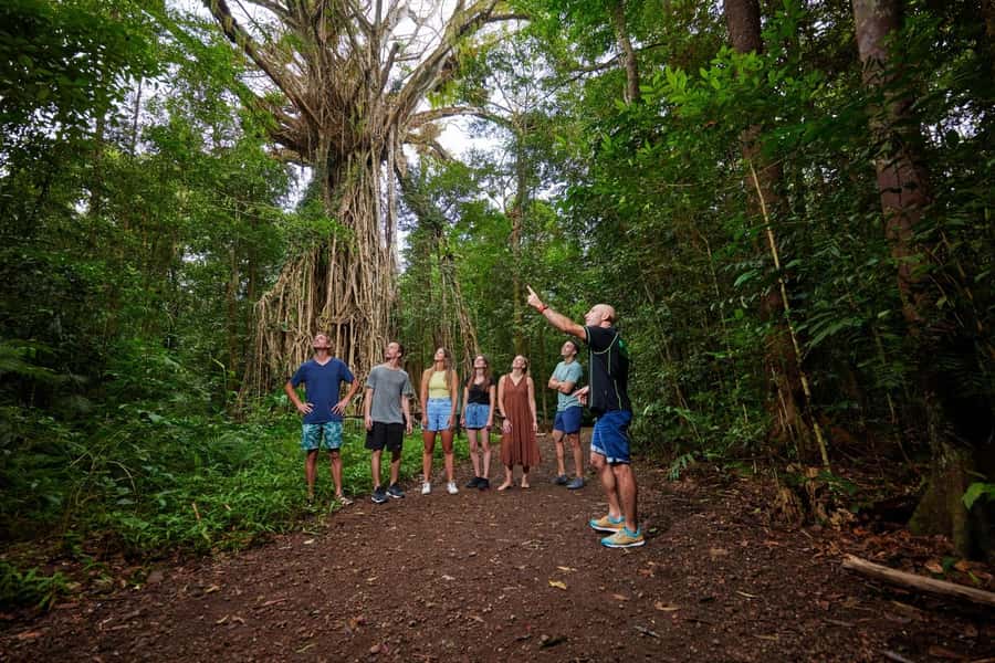 From Cairns: Barefoot Tablelands Waterfall & Rainforest Tour - Small-Group Comfort Meets Serious Safety: Permits, First Aid, and $20M Insurance
