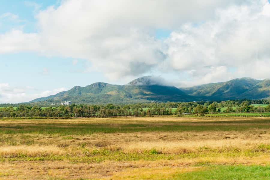 From Cairns: Chillagoe Caves and Outback Full-Day Tour - Chillagoe-Mungana Caves National Park: what the 1-hour cave tour gets right